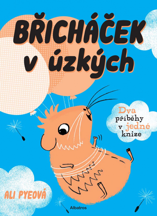 Book Břicháček v úzkých Ali Pye