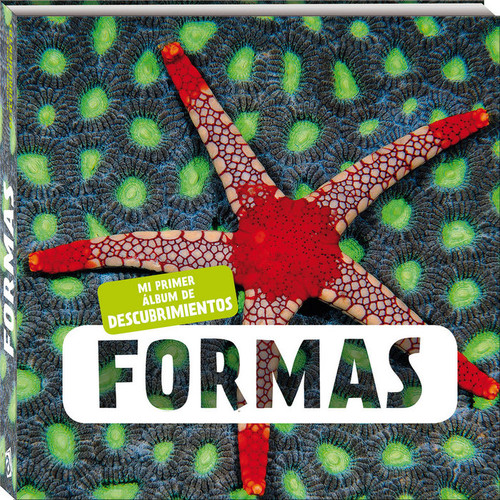 Book Formas Llúcia Casanova Carbonell