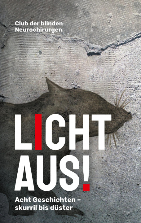 Knjiga Licht Aus! Rudolf Goebel