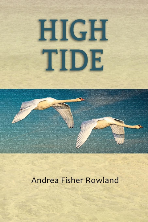 Book High Tide Anne M Carley