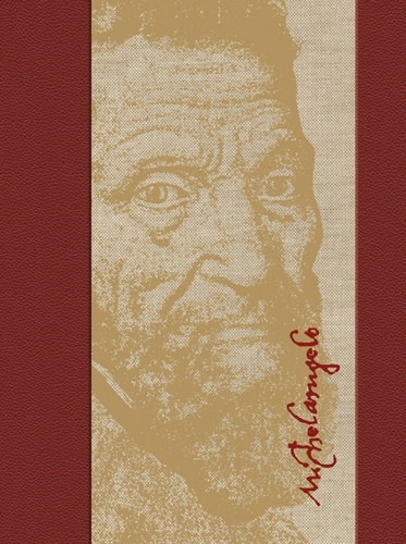 Knjiga Velikán Michelangelo Fabio Scaletti