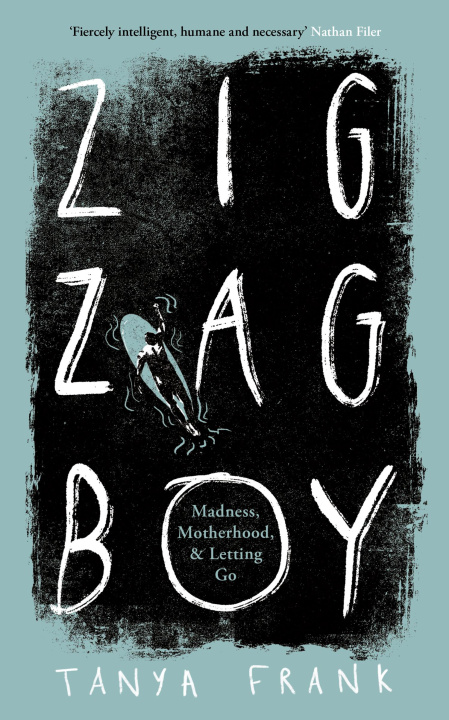 Knjiga Zig-Zag Boy Tanya Frank