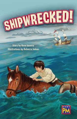 Book Shipwrecked!: Leveled Reader Ruby Level 28 