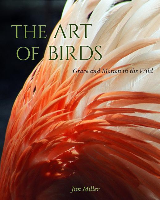 Knjiga Art of Birds 