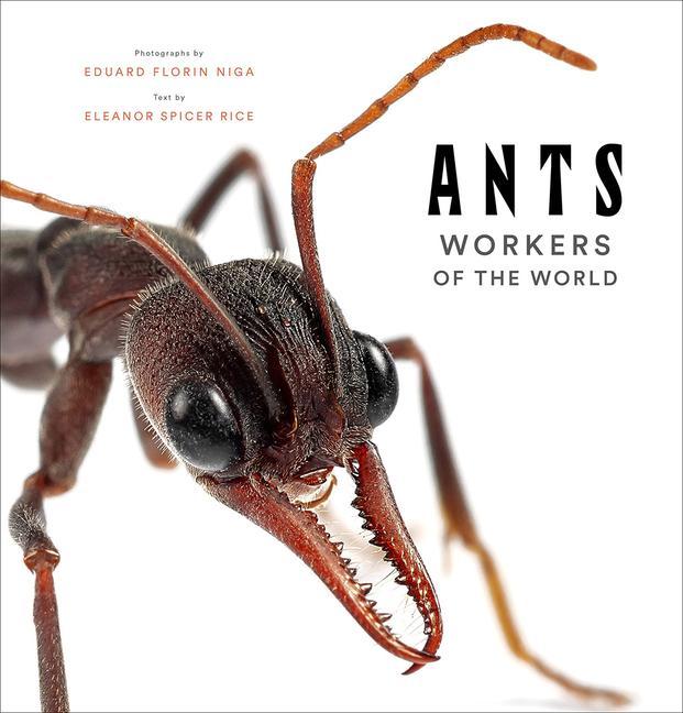 Kniha Ants: Workers of the World Eduard Florin Niga