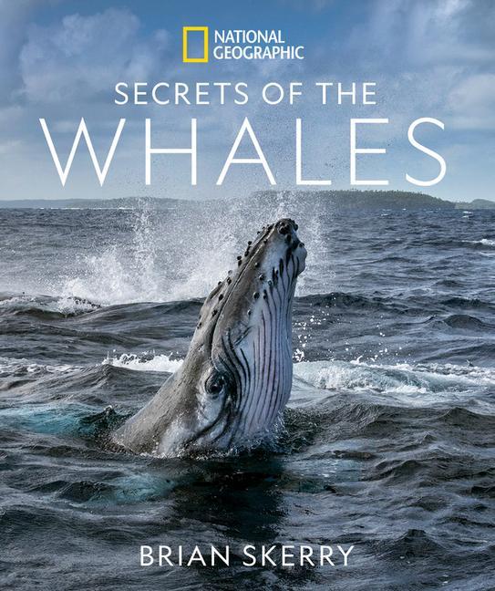 Kniha Secrets of the Whales 