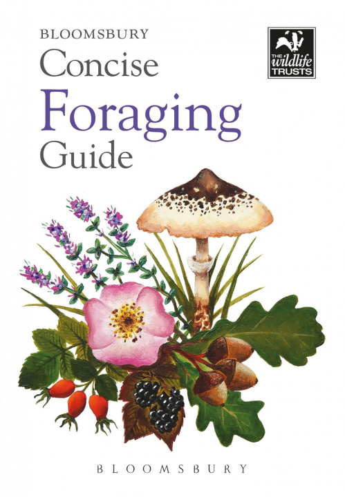 Book Concise Foraging Guide 