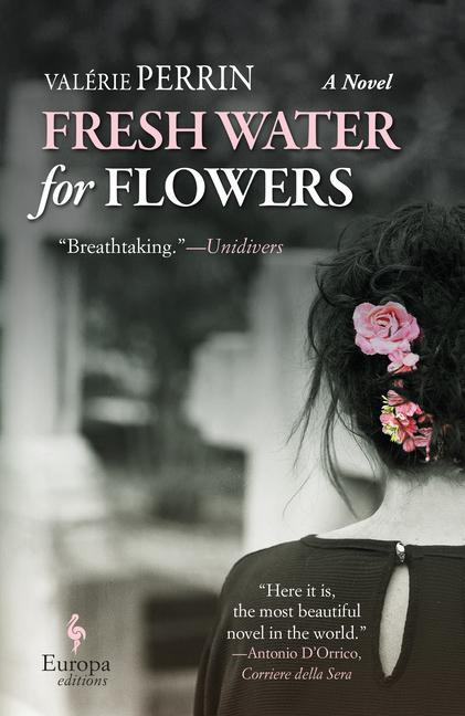 Carte Fresh Water for Flowers Hildegarde Serle