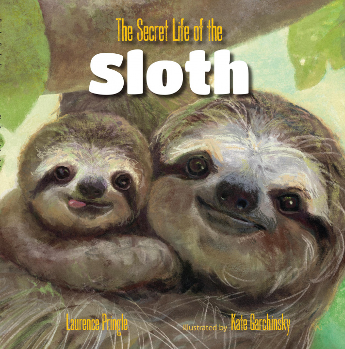 Könyv Secret Life of the Sloth, The Kate Garchinsky