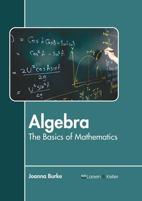 Könyv Algebra: The Basics of Mathematics 