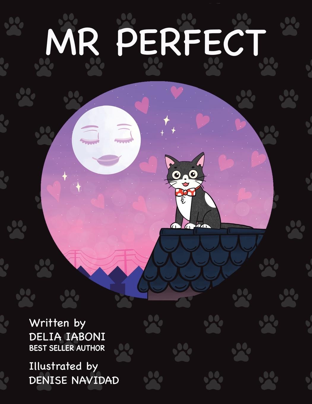 Knjiga Mr. Perfect Denise Navidad