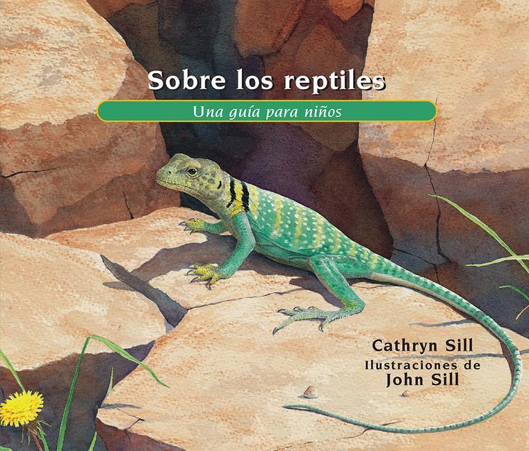 Kniha Sobre Los Reptiles: Una Guía Para Ni?os John Sill