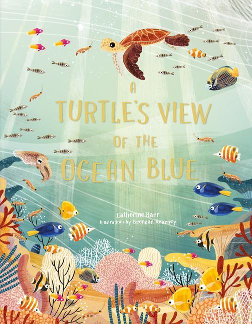Kniha A Turtle's View of the Ocean Blue Brendan Kearney