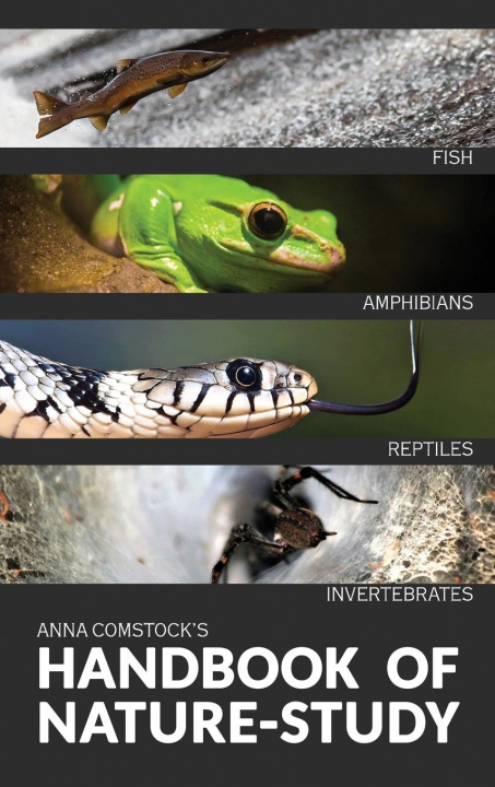 Könyv Handbook Of Nature Study in Color - Fish, Reptiles, Amphibians, Invertebrates 