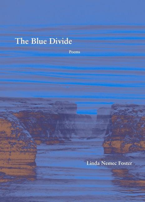 Knjiga Blue Divide - Poems Linda Nemec Foster