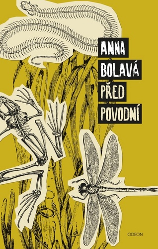 Book Před povodní Anna Bolavá