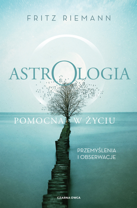 Buch Astrologia pomocna w życiu Przemyślenia i obserwacje Riemann Fritz