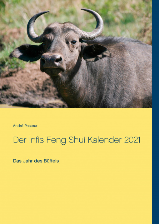 Knjiga Infis Feng Shui Kalender 2021 