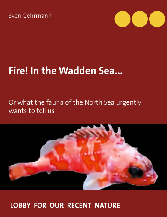 Carte Fire! In the Wadden Sea... 