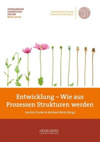 Kniha Entwicklung - Wie aus Prozessen Strukturen werden Joachim Funke