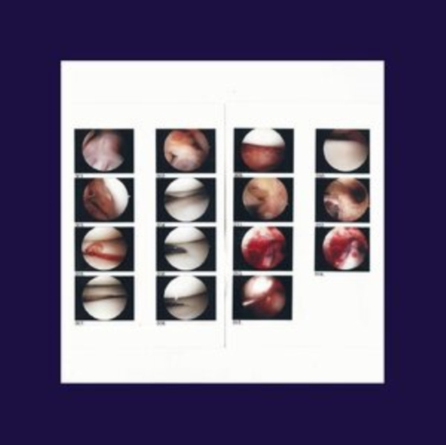 Audio Laughing In My Sleep The Cradle