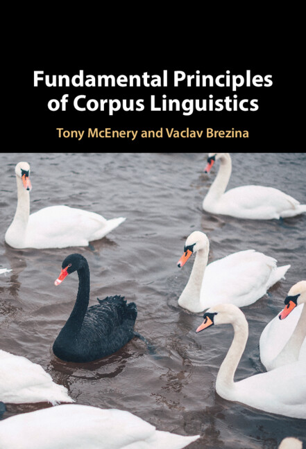 Książka Fundamental Principles of Corpus Linguistics McEnery Tony McEnery