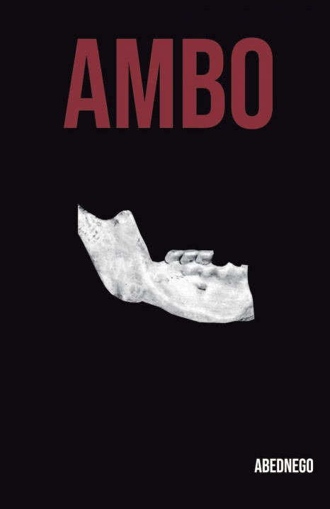 Книга Ambo Abednego