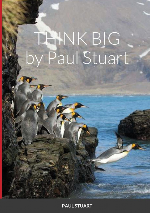 Kniha Think Big Paul Stuart