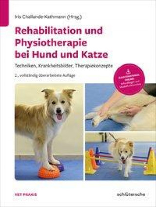 Książka Rehabilitation und Physiotherapie bei Hund und Katze 