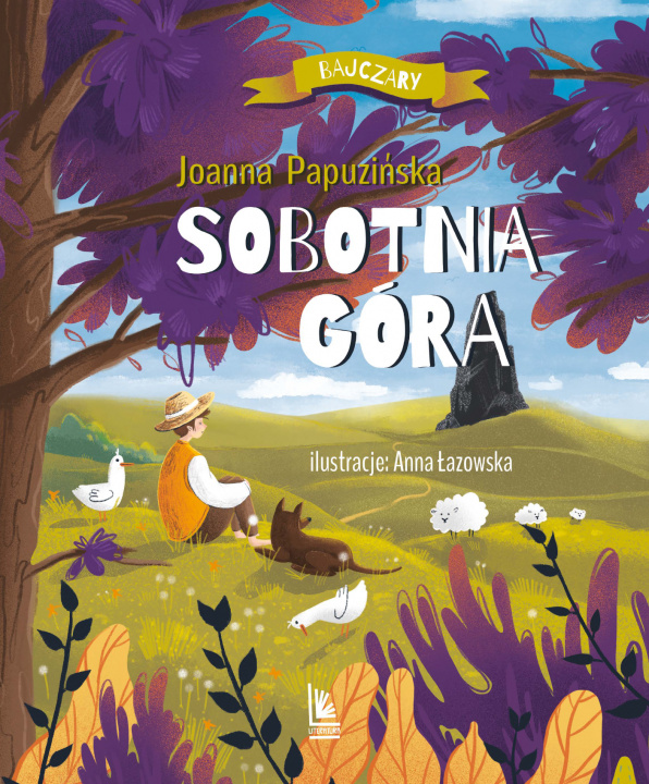 Book Sobotnia góra Joanna Papuzińska