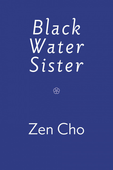 Kniha Black Water Sister 