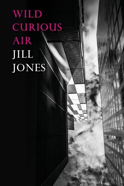 Buch Wild Curious Air Jill Jones