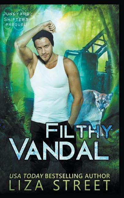 Boek Filthy Vandal Liza Street