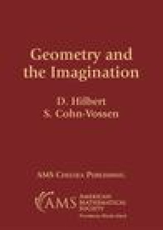 Kniha Geometry and the Imagination D. Hilbert