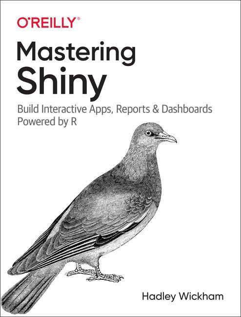 Kniha Mastering Shiny 