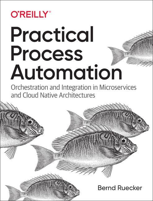 Kniha Practical Process Automation 