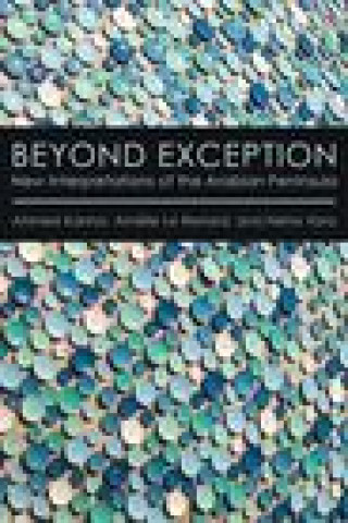 Libro Beyond Exception Ahmed Kanna