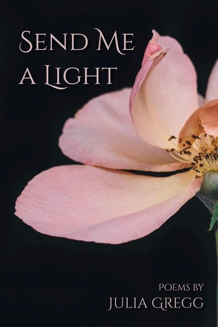 Knjiga Send Me a Light Julia Gregg