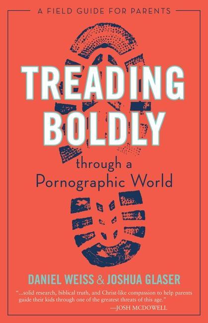 Kniha Treading Boldly through a Pornographic World Joshua Glaser