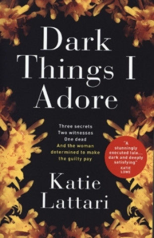 Kniha Dark Things I Adore Katie Lattari