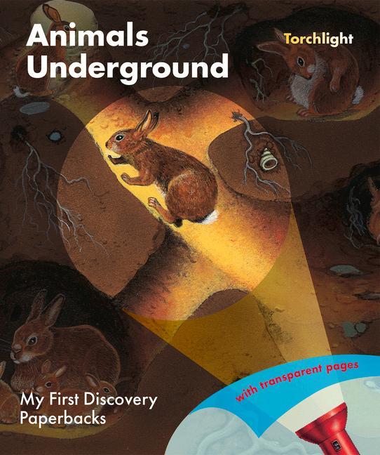 Carte Animals Underground 