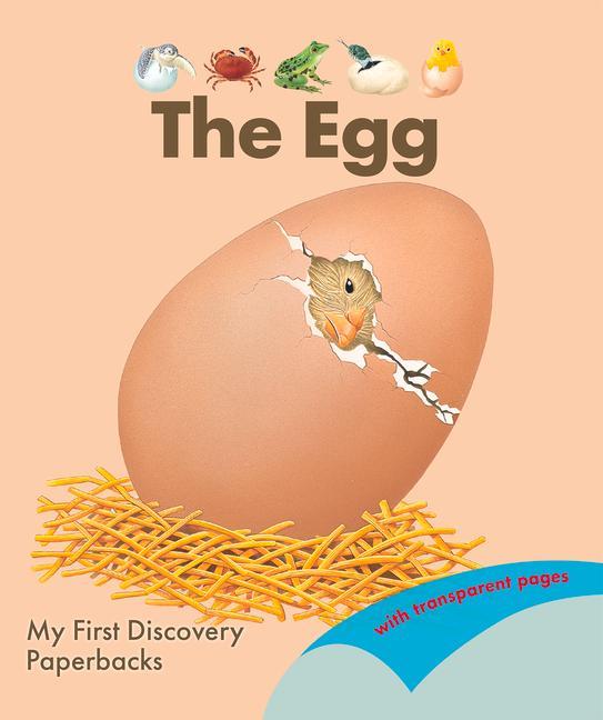 Книга Egg 