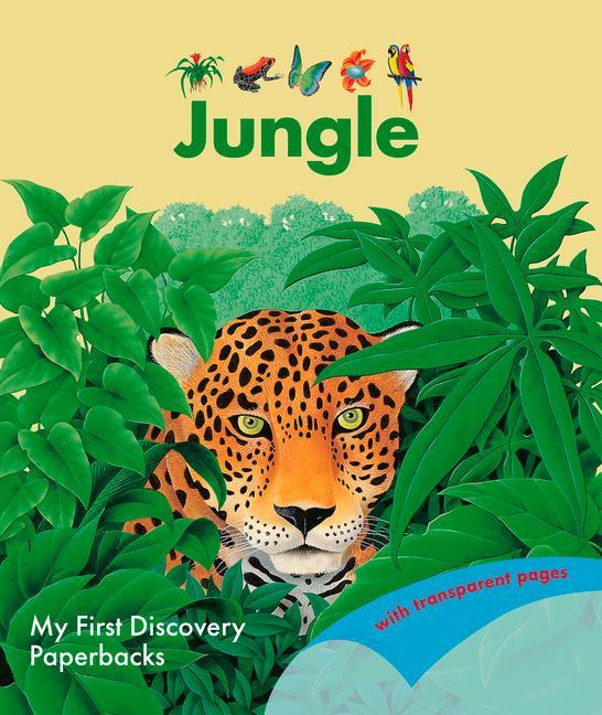 Könyv Jungle 