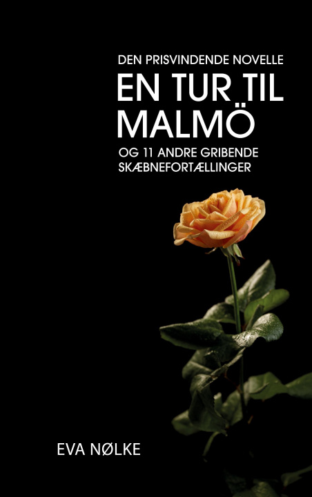Kniha En tur til Malmoe 
