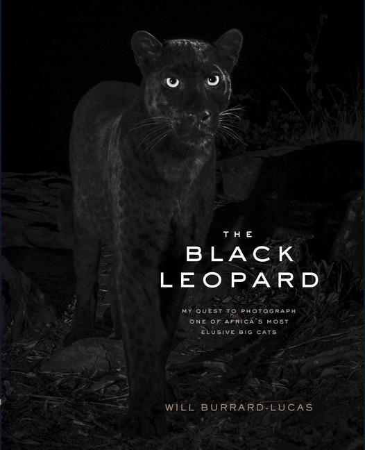 Kniha Black Leopard 