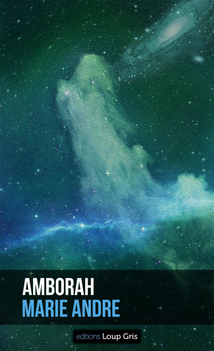 Knjiga Amborah ANDRE