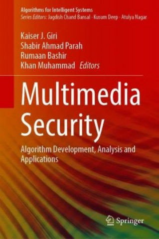 Knjiga Multimedia Security Shabir Ahmad Parah