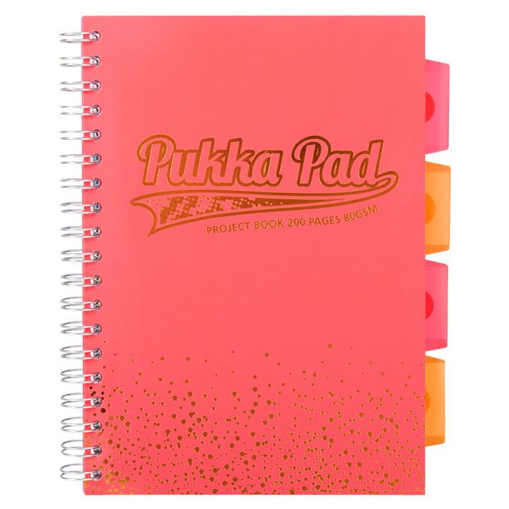 Аудио Kołozeszyt B5 Pukka Pad Project Book Blush koralowy kratka 
