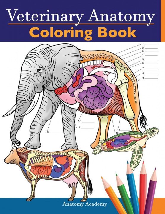 Book Veterinary Anatomy Coloring Book 