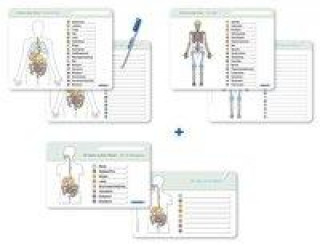 Книга Ich kenne meinen Körper - Organe / Skelett / Verdauung- 3 Tafeln im Set mit Stift 